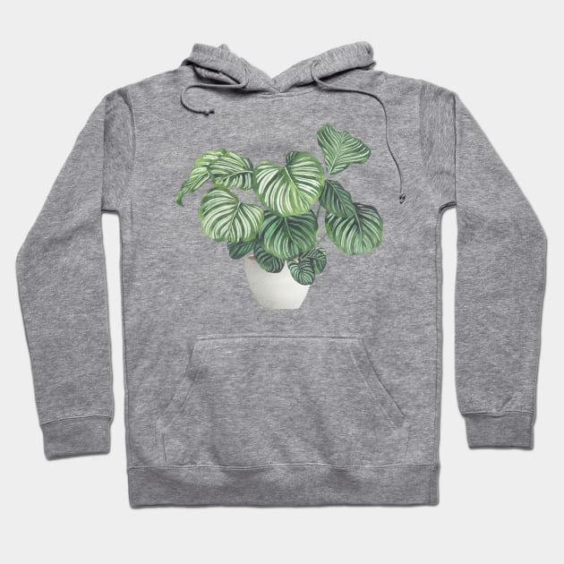 Potted Calathea Plant Hoodie by Gush Art Studio 1